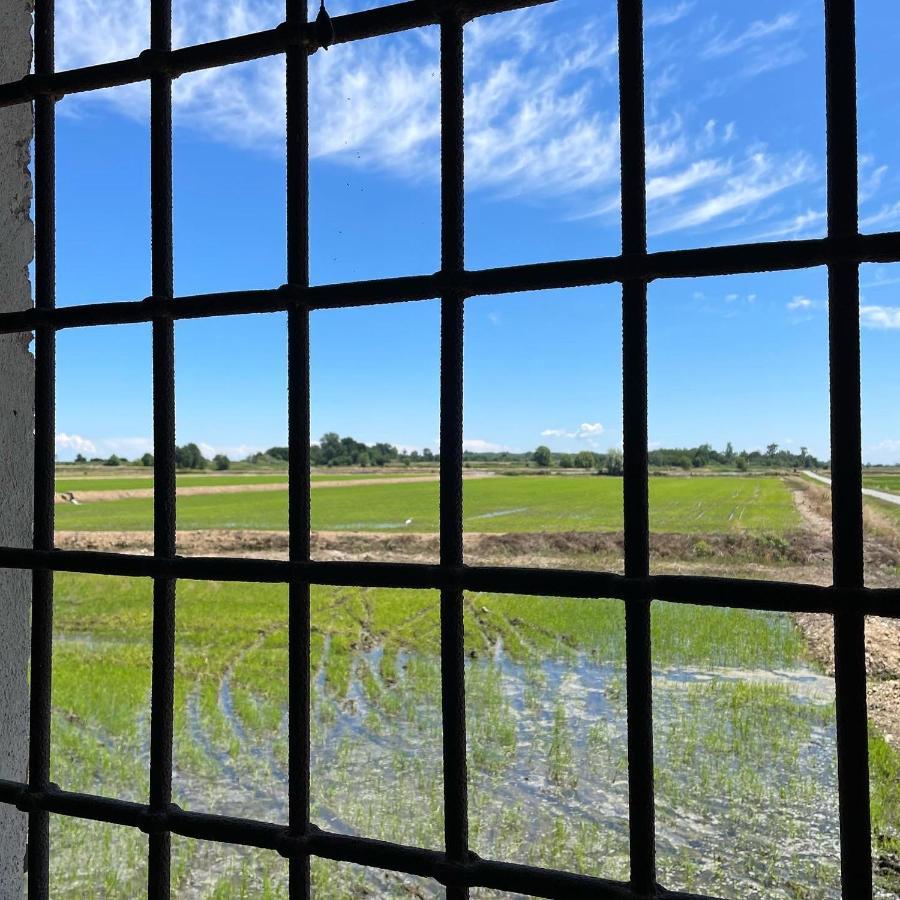 Tenuta Favorita Country House B&B Fontanetto Po エクステリア 写真